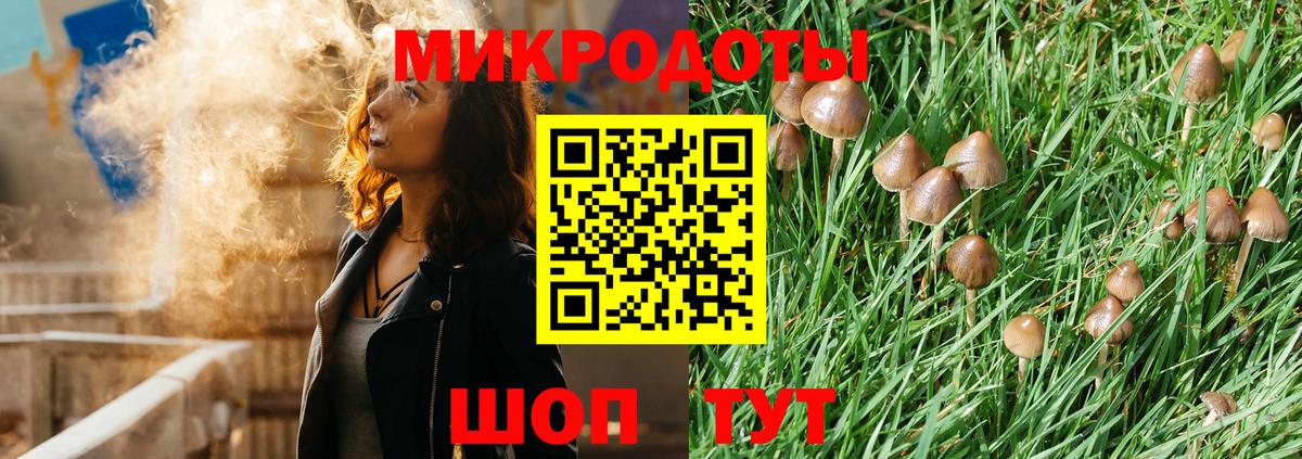 Псилоцибиновые грибы мицелий Югорск